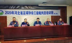 关于泰国足球协会计划提高裁判水平的信息