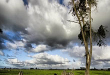 爱游戏链接-多特蒙德豪取胜利！弗莱堡遭遇惨败，多特蒙德vs弗莱堡视频直播