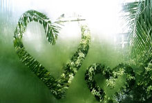 爱游戏馆-尼加拉瓜篮球奇迹！三分绝杀晋级八强的精彩瞬间