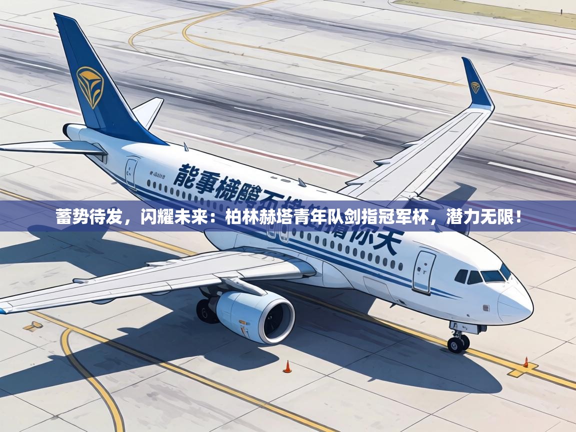 蓄势待发,闪耀未来:柏林赫塔青年队剑指冠军杯,潜力无限! 第2张