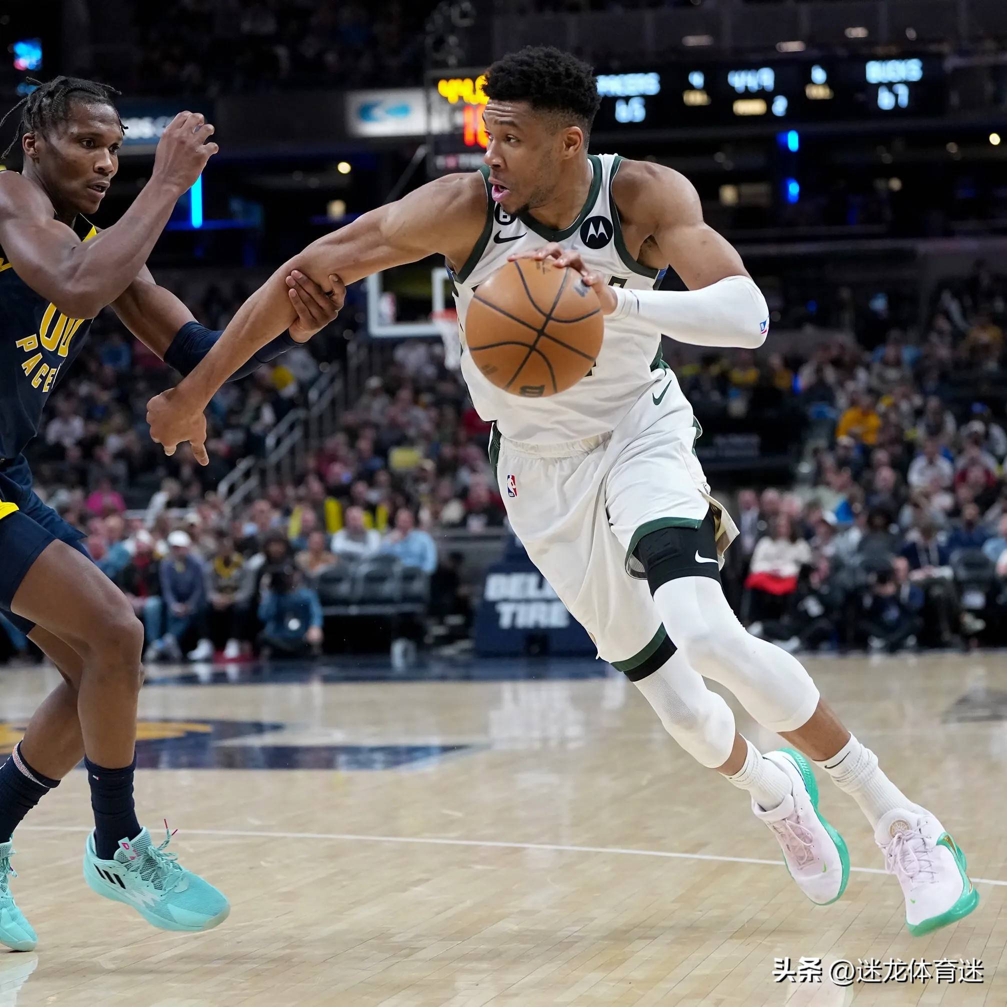 雄鹿力克灰熊,字母哥31分9篮板 雄鹿力克灰熊,字母哥31分9篮板