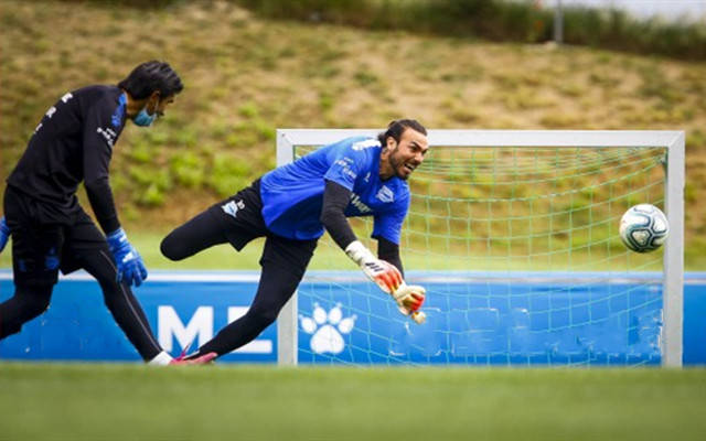 关于阿拉维斯主场失利，降级区压力增大的信息